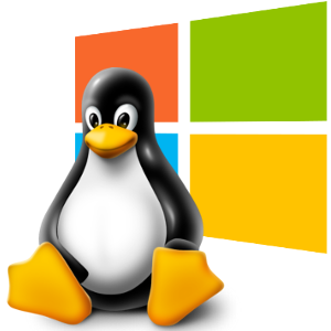 Windows czy Linux